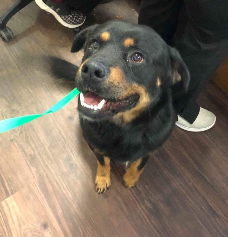 Mario looking up at camera